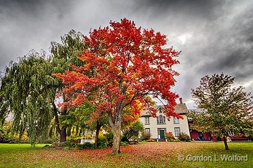 Autumn Heritage House_46144-9.jpg - Photographed at the Heritage House Museum in Smiths Falls, Ontario, Canada.